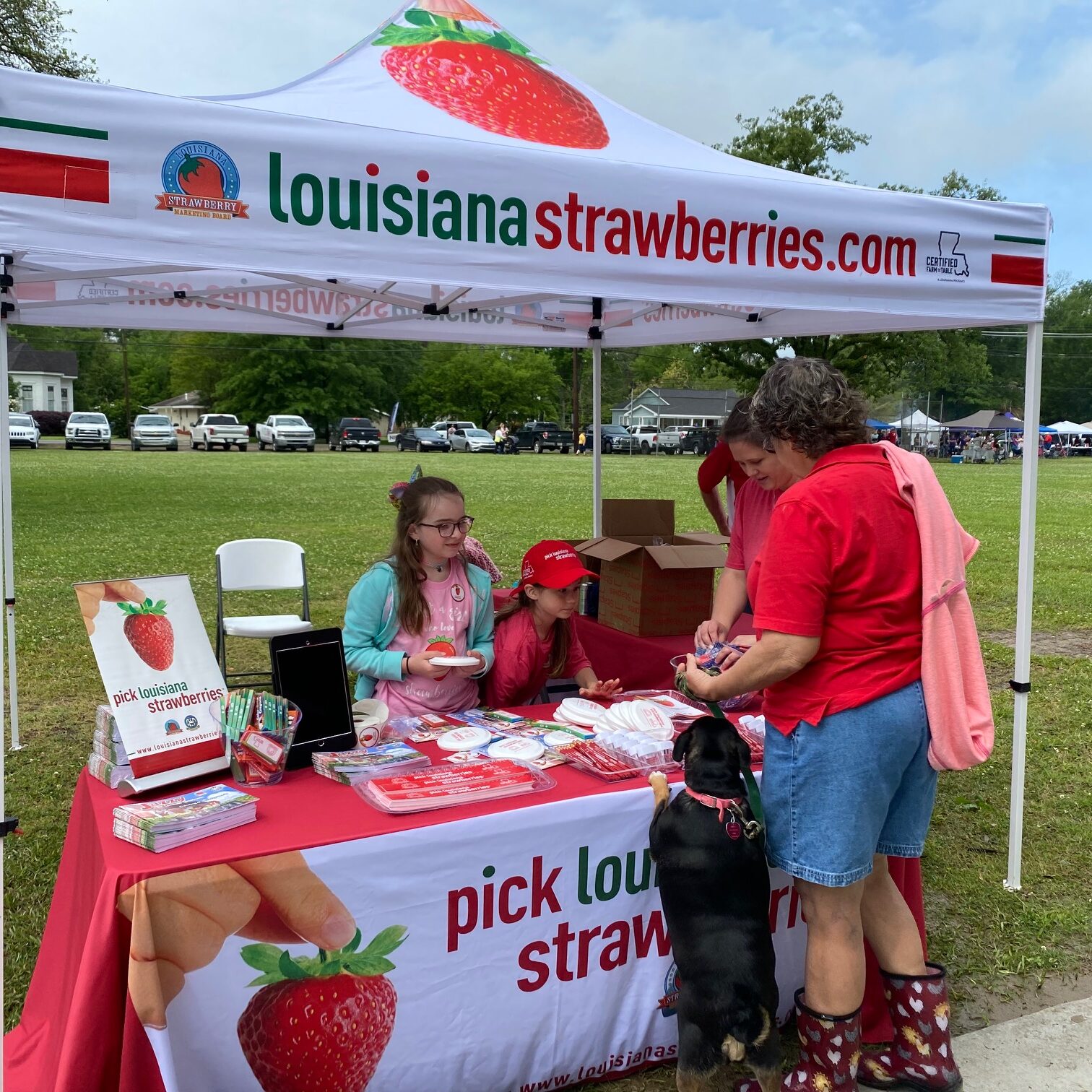louisiana strawberry.com booth